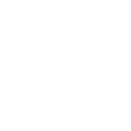 EWIS Solutions